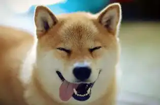  世界微笑日,余庆这群孩子的笑容分外甜蜜,还有......