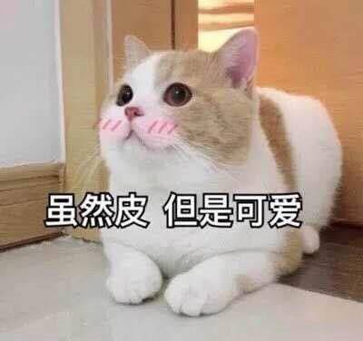  1元党的完美世界手游之旅