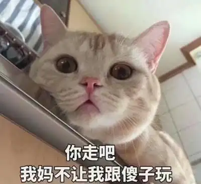  应届生初入职场的尴尬,你中枪了没