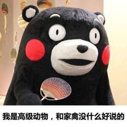  说一件关于烦人的熊孩子被教训的爽事,大快人心