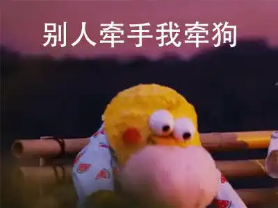 你爬猫咪表情包猫咪表情