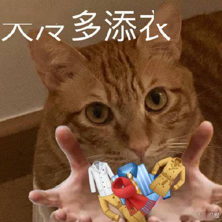  春节期间深圳气温预计最低10度左右