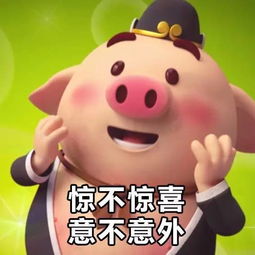  动图宇宙抖音跑步猪,没想到已经这么火了