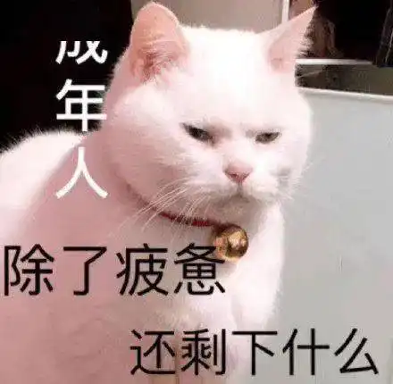  沙雕表情做只废物挺好的