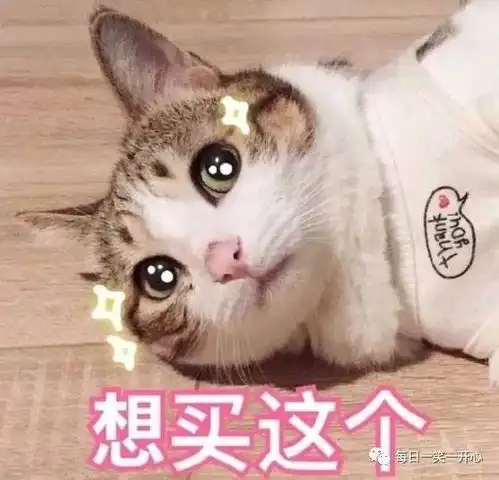  开心时刻,去一家新公司面试,人事长得好像我的前女友啊,怎么办,好慌