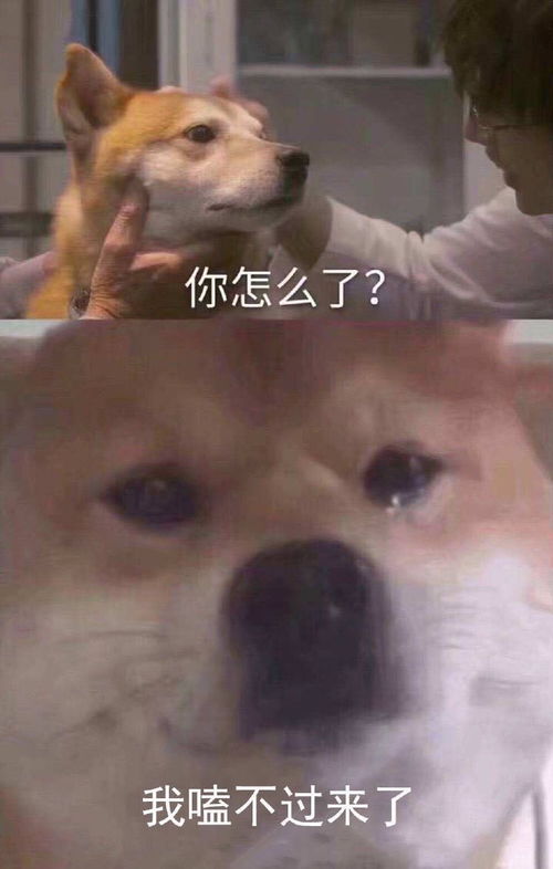  深夜氵关于嗑cp的xp