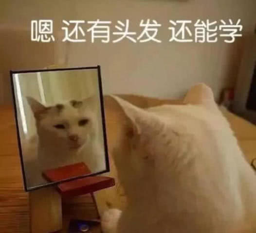  情侣之间最肉麻的5张表情包,成功撩倒另一半