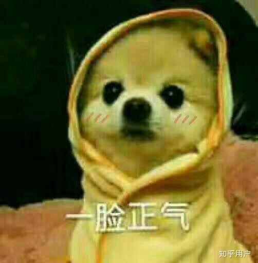  美收藏夹
