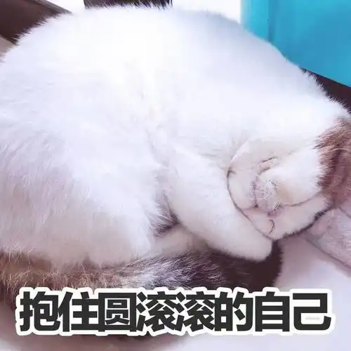  笑话十条真正的女人一生只会承认犯一次错