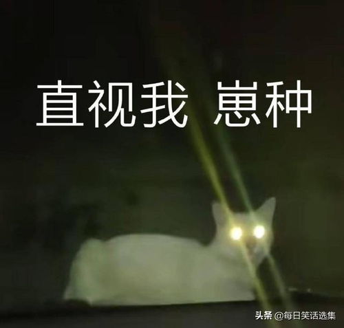 微信表情包什么意思超爱