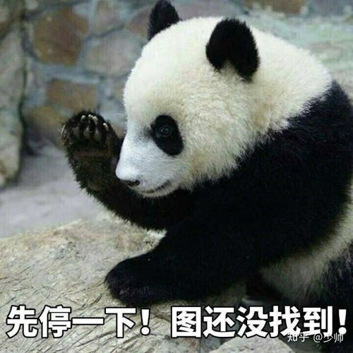  男士洗面奶哪个牌子好用男士洗面奶排行榜10强推荐