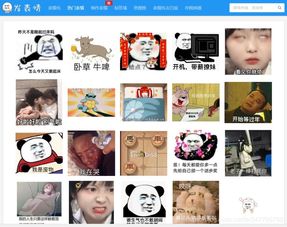  python多线程爬取表情包,1秒下载五十张表情包