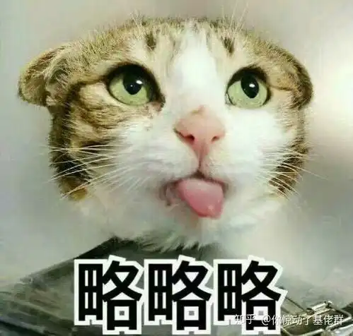  手机被班主任没收了你会怎么办