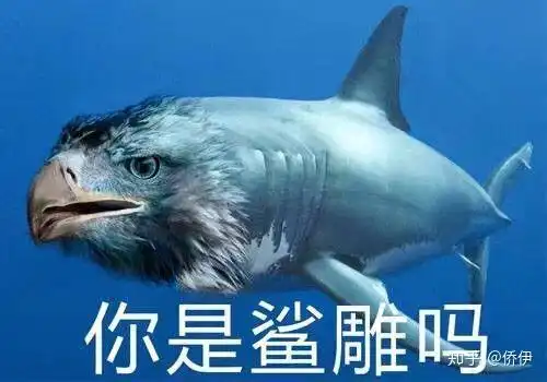  这是何等小学生的行为