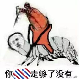  被皮皮虾我们走刷屏了新一届网红表情包,到底火在哪