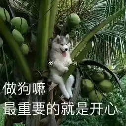  易烊千玺在亲爱的客栈放飞自我,吃狗粮狂撩妹乐此不疲