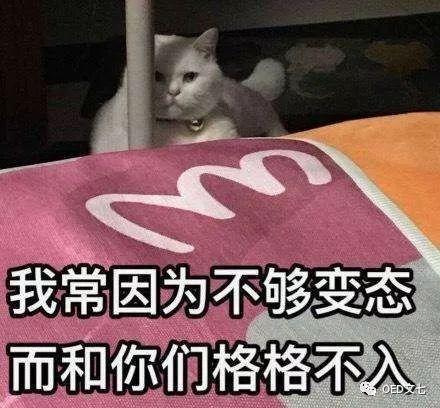  哪些变态减肥法可以减肥一探究竟