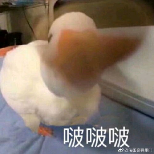  纯爱推文开往醉青山的路