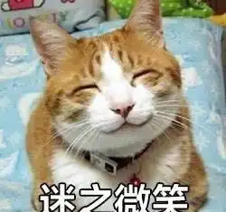  猫咪个性表情包,看什么没见过帅猫啊
