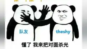  theshy暴锤fnc表情包上单,防御塔shy哥我给你们照张相呗