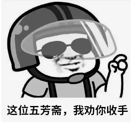头盔图片表情包三级头