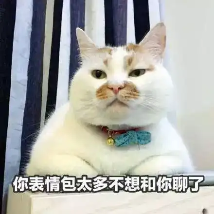  猫咪表情包你成功引起了我的注意养猫