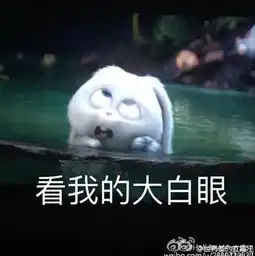  井井sama的微博微博