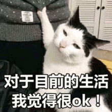 你生平用过最沙雕的表情包是什么  你生平用过最沙雕的表情包是什么