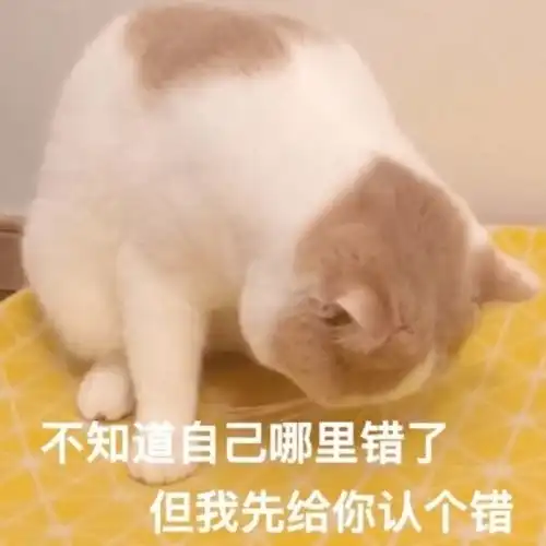  来了,史诗级寒潮青岛最高温11注意,是最高温从肉体到灵魂都冻到飞起