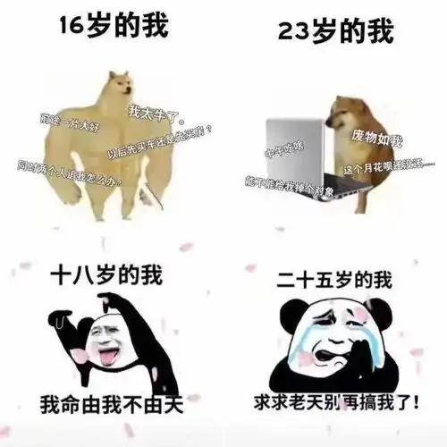 快乐的表情包搞笑沉迷