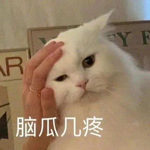  女生养了4个多月的猫发现是公猫,崩溃大哭还我闺女