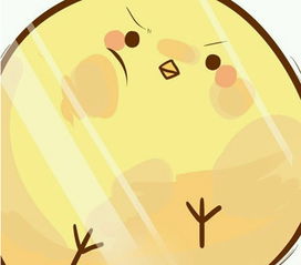  抖音里面的小黄鸡表情包大全最近很火的小黄鸡图片分享