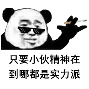  熊猫头表情包只要小伙精神在到哪都是实力派