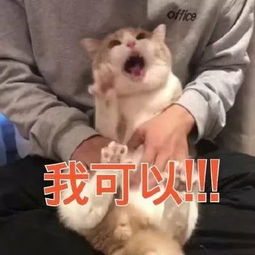  为什么我不能购买学生票