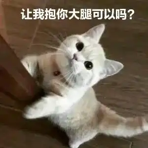  救命雅思7分的我出国留学后依然翻车语言关要怎么过