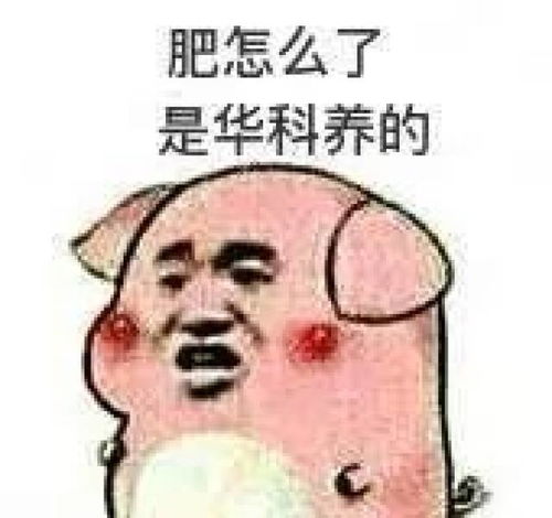  华科真的不是三本,欢迎报考