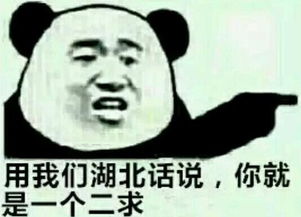  用我们东北话讲你就是一个山炮表情包下载用我们东华话讲你就是一个山炮表情包高清无水印极光下载站