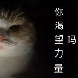  香港性感巅峰49岁上综艺被全网心疼,这一处却仍美过舒淇