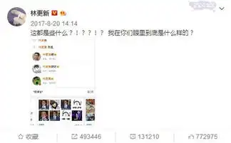  网友表情包群嘲林更新,林更新只回复了两个字