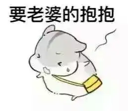 学科表情包老婆