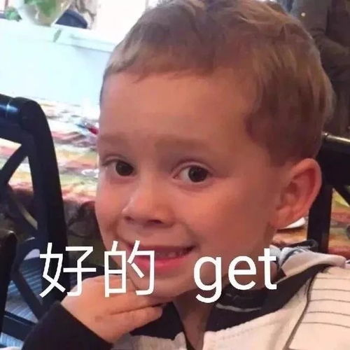 外国斗图表情包gifgif