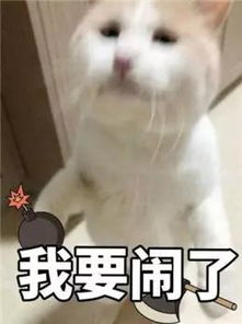 和朋友恋人吵架冷战撕逼,爽过后如何自救
