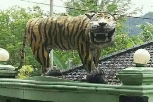 猩猩摊手表情包老虎