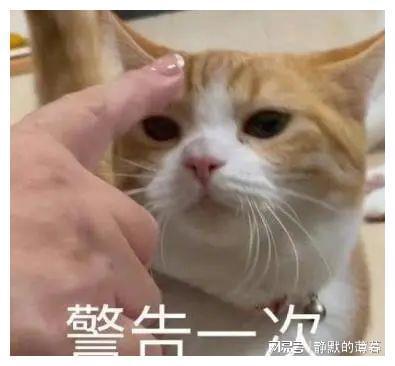  富二代男友雌雄难辨女扮男装骗色骗钱,她怎么做到的