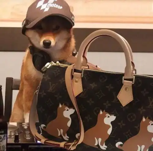  lvguccidior...狗年限定高能来袭该不是对中国风有什么误解