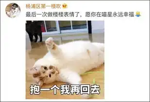  我今天还在用的表情包,它昨天去世了