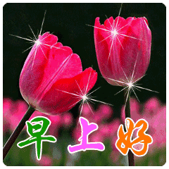  早上好的表情图早安的句子祝福