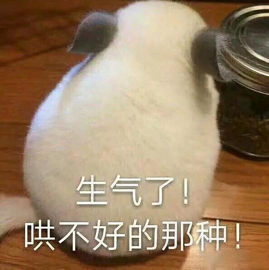  围笑的相册喵星人表情包