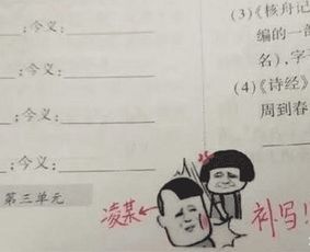  老师用表情包批改学生作业,网友这样的老师是不存在的