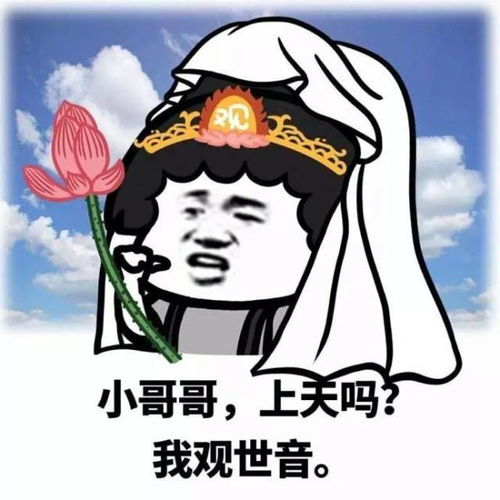  斗图日常小哥哥,网恋吗,我嘤嘤嘤